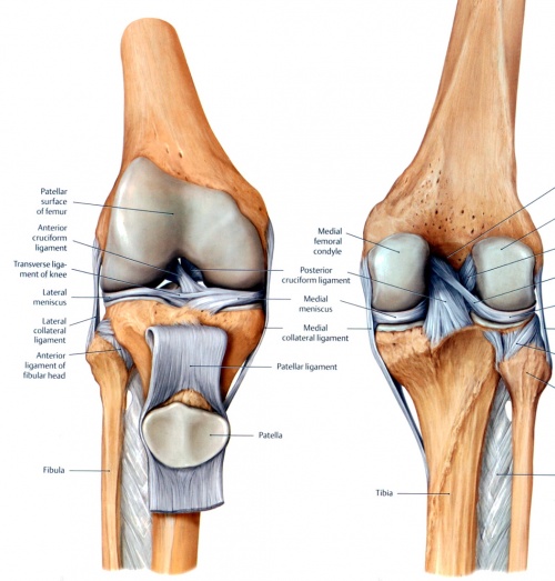 Haglund's Deformity Causes & Treatment – My FootDr